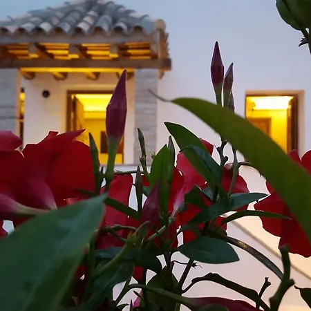 El Arriate De Vejer *